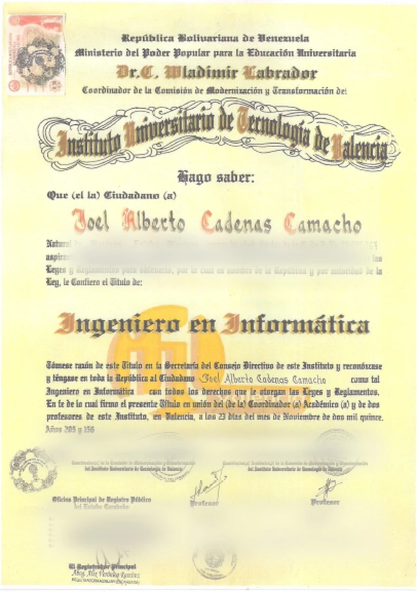 Computer Engineer degree